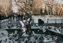 Tienduizenden mensen met ernstige psychische aandoeningen raken uit beeld na behandeling Foto: Caitlyn Wilson