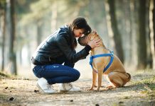 Trauma en schuldgevoelens: behandeling met EMDR
